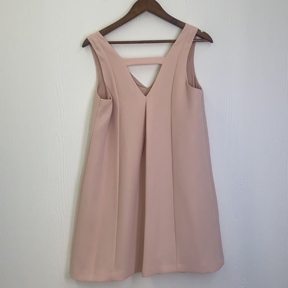 BCBG Generation -  Pink Blush Sleeveless Shift VNeck Dress Size Small - Picture 10 of 15